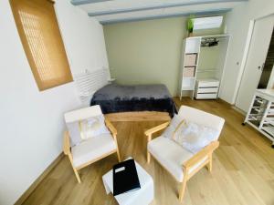 a living room with a bed and two chairs at Studio Cosy, Rénové, Ecrin de calme & confort in Céret