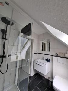 a bathroom with a shower and a toilet and a sink at Ferienhaus Ruhepol in Bad Harzburg
