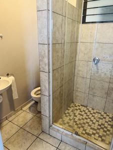 a bathroom with a shower and a toilet at Flat in Khomas Region