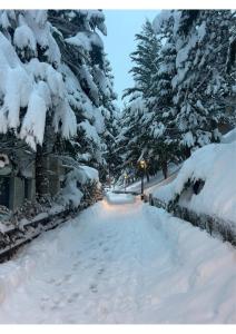 Baqueira-beret - apartament Solneu a pie de pistas v zimě