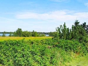 a field of bushes with a field of water and trees at 6 person holiday home in Ansager-By Traum in Ansager