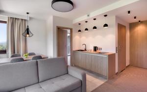 Kuchnia lub aneks kuchenny w obiekcie Czarny Kamień Resort & SPA