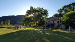 Príroda v okolí of the country house