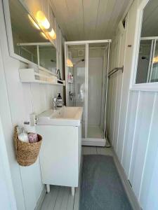 ein kleines Badezimmer mit Waschbecken und Dusche in der Unterkunft Stavern Cottage with sea views near the beach in Larvik + 29 Fotos