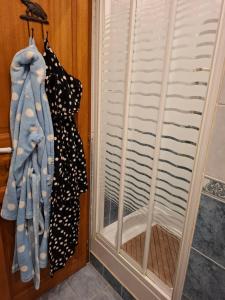 a door with a window with a dress next to it at Chez Fanfan in Cauville