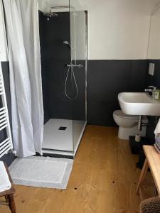a bathroom with a shower and a toilet and a sink at Casale nel mezzo dei vigneti in Caneva +33 photos