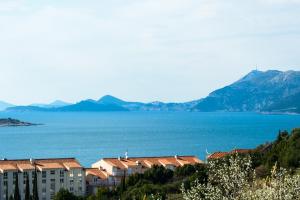 Fotografie z fotogalerie ubytování Apartment Ana-Marija v destinaci Cavtat