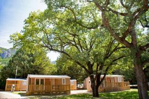 a group of mobile homes under a large tree at Domaine Le Petit Lac in Moustiers-Sainte-Marie