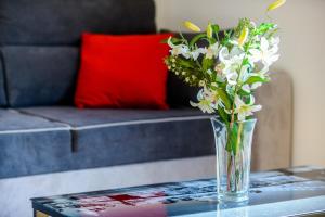 Fotografie z fotogalerie ubytování Apartment Ana-Marija v destinaci Cavtat