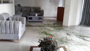 a living room with couches and a plant on the floor at Sport Guest House in Addis Ababa