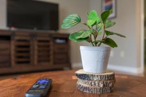 a potted plant sitting on a table next to a remote control at Peaceful Escape 2BR Retreat w Private Hot Tub in Sevierville +59 photos