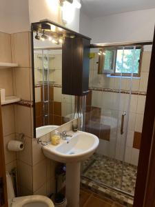 a bathroom with a sink and a shower and a toilet at Lovely entire apartment in Cugir in Cugir