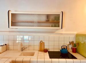 a kitchen counter with a sink and a microwave at Mas Saint Michel in Vivès