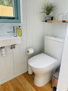 a small bathroom with a toilet and a sink at Sea Spray in St Austell +17 photos