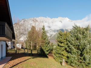 a house with christmas trees in front of a mountain at Holiday Home in Groebming near Ski Slopes in Gröbming
