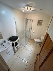 een badkamer met douche, wastafel en toilet bij Tower St Cranes Murals Titanic 3br-6guests in Belfast