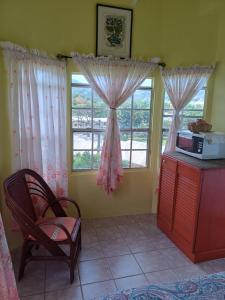 a living room with a microwave and two windows at PeachBloom Terrace Inn in Saint Georgeʼs