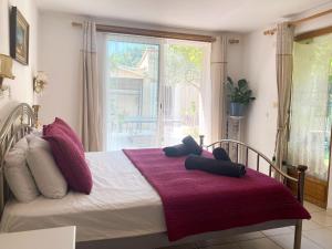 a bedroom with a bed with purple pillows and a window at Large Family Home in Mediterranean France in Tourbes +32 photos