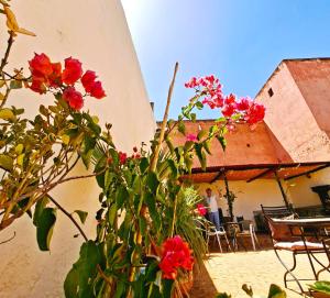 a group of flowers in front of a building at Riad Menthe Et Citron in Meknès
