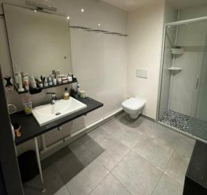 Un baño con lavabo, ducha e inodoro. en STUDIO Etoile 74, en Annemasse