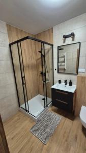 a bathroom with a shower and a toilet and a sink at Apartament Jaśminowa in Olsztynek