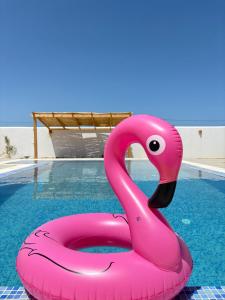 a pink flamingo float in a swimming pool at Dar Emna in El Guecheïne