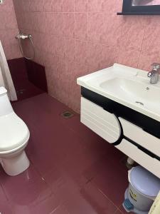 Baño rosa con lavabo y aseo en Secure Central Room Diplomatic Enclave, Islamabad, en Islamabad