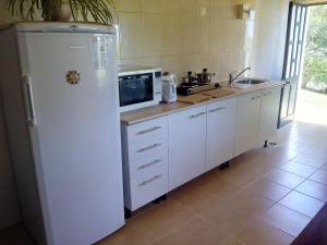 a kitchen with a white refrigerator and a microwave at Vivenda Familia Pedro in Vila do Bispo