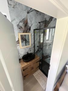 a bathroom with a sink and a shower at Rai Village in Băniţa +61 photos