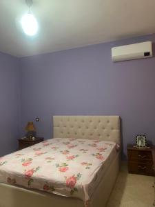 Gallery image of Village Home in Fier