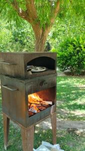 a barbecue grill with a pizza in front of a tree at Cabañas Finca Casiana in Santa Lucía +55 photos