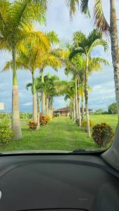 Příroda nedaleko chaty