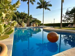 een zwembad met een bal erop bij Bed & Breakfast Casa del Palta in Canillas de Albaida