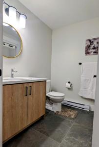 a bathroom with a toilet and a sink and a mirror at Apartment in Dieppe in Dieppe