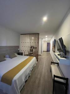 una camera d'albergo con un letto e una scrivania con una televisione di APART ALTITUD a San Fernando del Valle de Catamarca