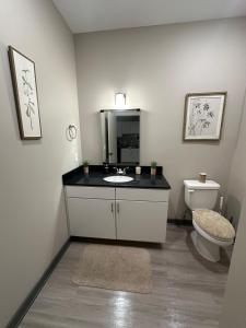 ein Badezimmer mit Waschbecken und Toilette in der Unterkunft Harbor Hollow-Studio 2 mins to Renasant in Memphis