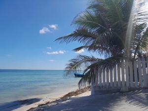 a palm tree sitting on a beach next to the ocean at Casa Flores de Mayo in Chicxulub +3 photos
