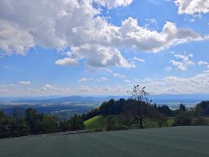 a view from the top of a hill with a green field at PAVLIN Bed & Breakfast in Šenturska Gora