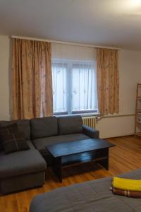 Fotografie z fotogalerie ubytování Apartmán Česká Metuje v destinaci Česká Metuje + 7 fotografií