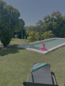 a pool with a pink flamingo sitting next to a chair at Romantic Dome & French Cuisine in Jantetelco