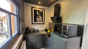 a kitchen with a sink and a dog picture on the wall at Gemütliches Studio in Dresden-zentrumsnah in Dresden