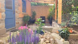 a garden with flowers and rocks and a blue door at Gemütliches Studio in Dresden-zentrumsnah in Dresden +2 photos