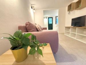 a living room with a purple couch and a potted plant at Rimini Centrale - Appartamento Moderno in Rimini