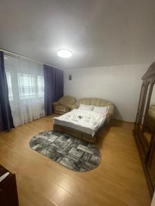 a living room with a bed and a rug at Sky KATERINNA in Brăila