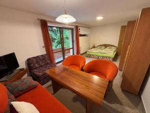 Μια τηλεόραση ή/και κέντρο ψυχαγωγίας στο Ski&hike apartments Krkonoše - Janské Lázně