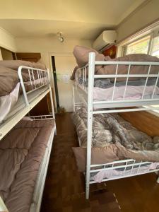 a group of bunk beds in a room at Ashigarashimogun - House - Vacation STAY 19326 in Mongawa