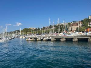 a bridge over the water with boats in a marina at L Évidence in Thonon-les-Bains