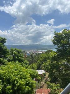a view of a city from a hill with trees at Penthouse villa 1 in Montego Bay +8 photos