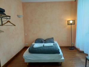 a bedroom with a bed with blue pillows and a lamp at 2 pièces à Boulogne sur Gesse in Boulogne-sur-Gesse