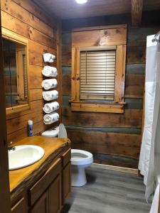 a bathroom with a sink and a toilet and a window at Lookout Mtn cabin with a view in Rising Fawn +22 photos